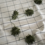 dbkd - Girlande Flake green