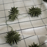 dbkd - Girlande Flake green