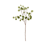 Dekoast - Eukalyptus von House Doctor