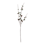 Dekoast - Lärche natur mit Zapfen von House Doctor