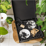 Geschenkset – Hydrokulturen von Botanopia