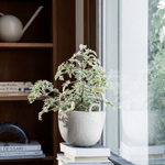 Giesskanne - Orb cashmere von Ferm Living