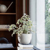Giesskanne - Orb cashmere von Ferm Living