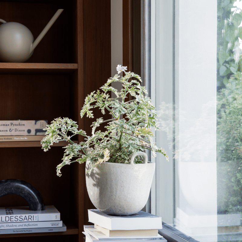 Giesskanne - Orb cashmere von Ferm Living