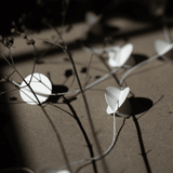 Girlande - Circle white von dbkd