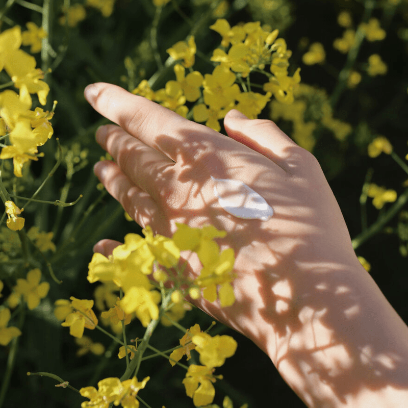 Handcreme – SKOG von Skandinavisk