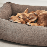 Hundebett Box - Mondo Schokolade von MiaCara