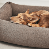 Hundebett Box - Mondo Schokolade von MiaCara