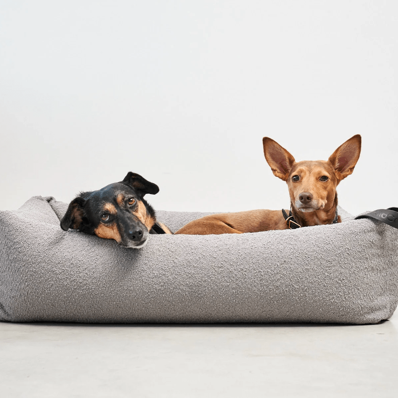 Hundebett Box - Mondo Stein von MiaCara
