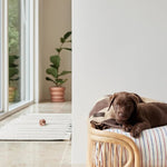 Hundedecke - Kaya choko von OYOY