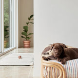 Hundedecke - Kaya choko von OYOY