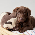 Hundedecke - Kaya choko von OYOY