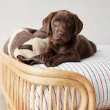 Hundedecke - Kaya Choko von OYOY