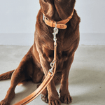 Hundehalsband - Bergamo schwarz von MiaCara
