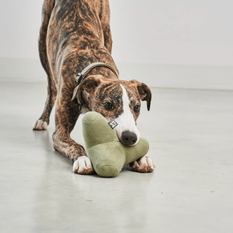 Hundespielzeug - Quattro greige von MiaCara
