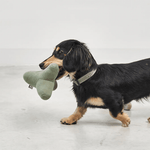Hundespielzeug - Quattro greige von MiaCara