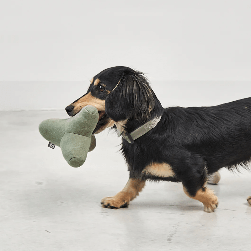 Hundespielzeug - Quattro greige von MiaCara