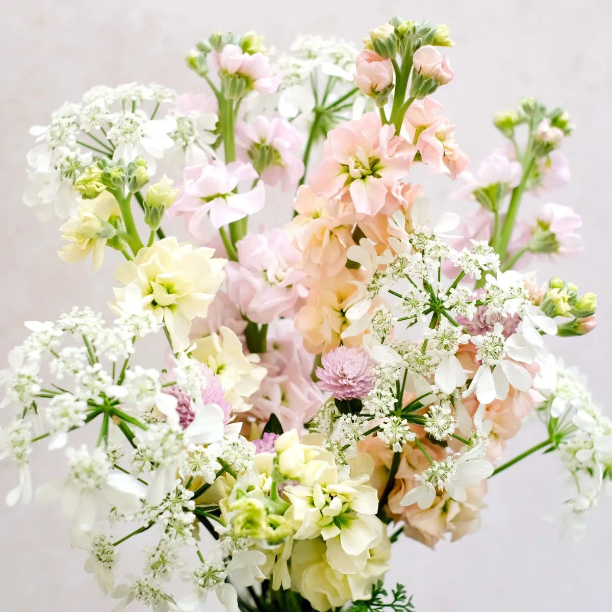 Jora Dahl - Blumenstrauss Wild Bouquets New Cottage Garden