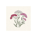 Pflanzensamen Schafgarbe Achillea millefolium Summer Berries