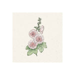 Jora Dahl - Pflanzensamen Stockrose Alcea rosea Queeny Salmon
