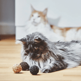 Katzenball - Filo natur von MiaCara