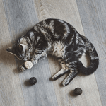 Katzenball - Filo natur von MiaCara