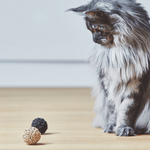 Katzenball - Filo natur von MiaCara