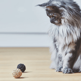 Katzenball - Filo natur von MiaCara