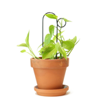 Kletterhilfe - Bump schwarz klein von Botanopia