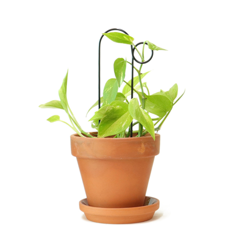 Kletterhilfe - Bump schwarz klein von Botanopia