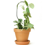 Kletterhilfe - Hoop schwarz klein von Botanopia