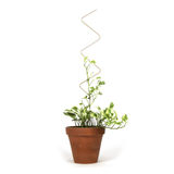Kletterhilfe - Plant Stake Zigzag von Botanopia
