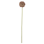 Kunstblume - Allium braun von Bloomingville