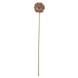 Kunstblume - Allium braun von Bloomingville