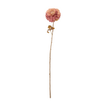 Kunstblume - Chrysantemum rose von Bloomingville
