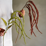 Kunstblume - Foxtail braun von Bloomingville