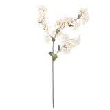 Kunstblume - Myrtle weiss von Bloomingville