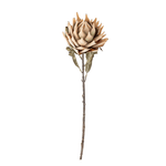 Kunstblume - Protea natur von Bloomingville 