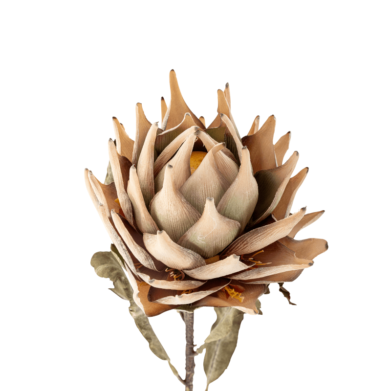 Kunstblume - Protea natur von Bloomingville 