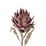 Kunstblume - Protea violett von Bloomingville