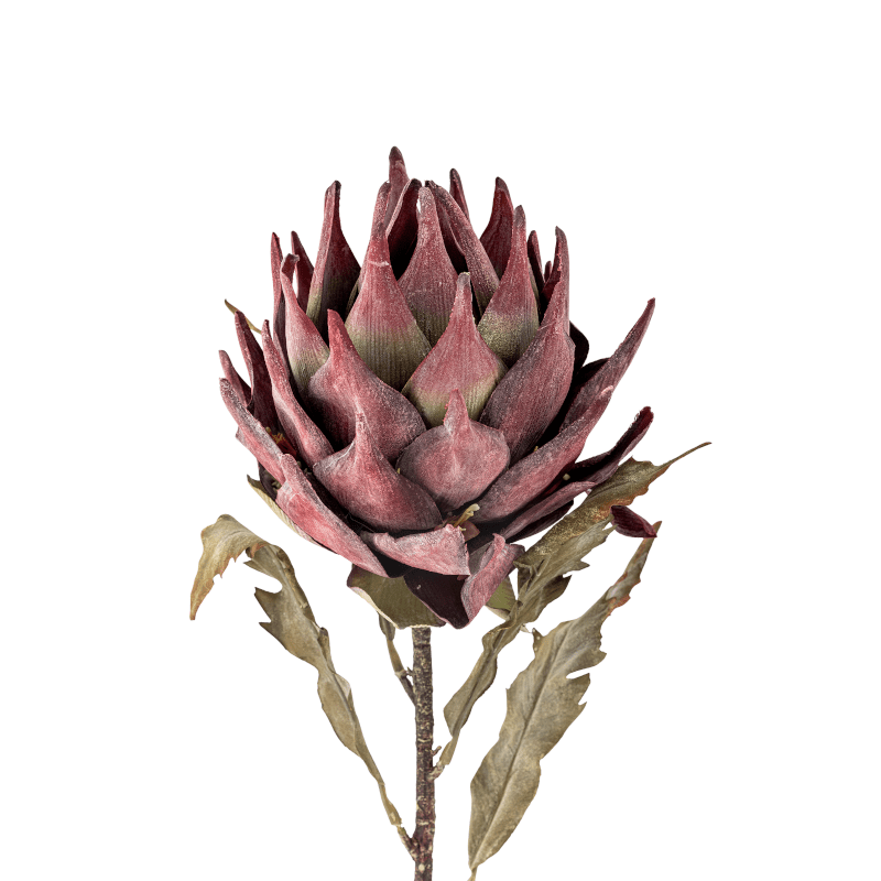 Kunstblume - Protea violett von Bloomingville