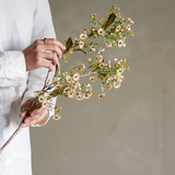 Kunstblume - Waxflower weiss von Bloomingville