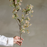 Kunstblume - Waxflower weiss von Bloomingville