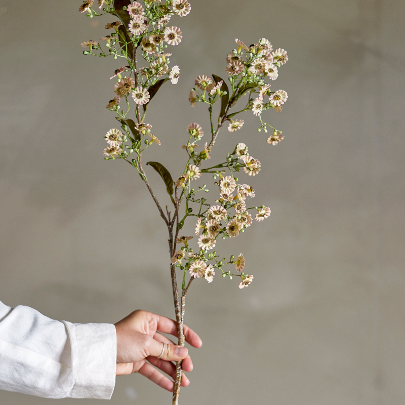 Kunstblume - Waxflower weiss von Bloomingville