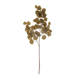 Kunstzweig - Eucalyptus braun von Bloomingville