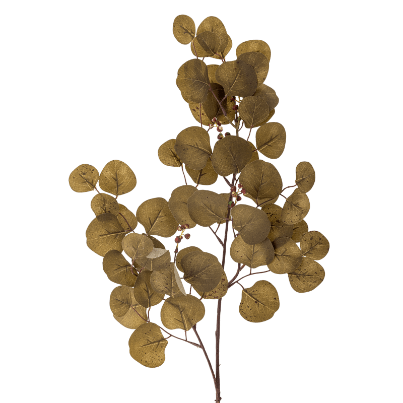Kunstzweig - Eucalyptus braun von Bloomingville
