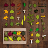 Lernspiel - Woodland Leaves von Moon Picnic