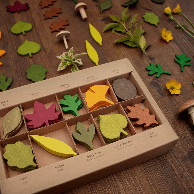 Lernspiel - Woodland Leaves von Moon Picnic