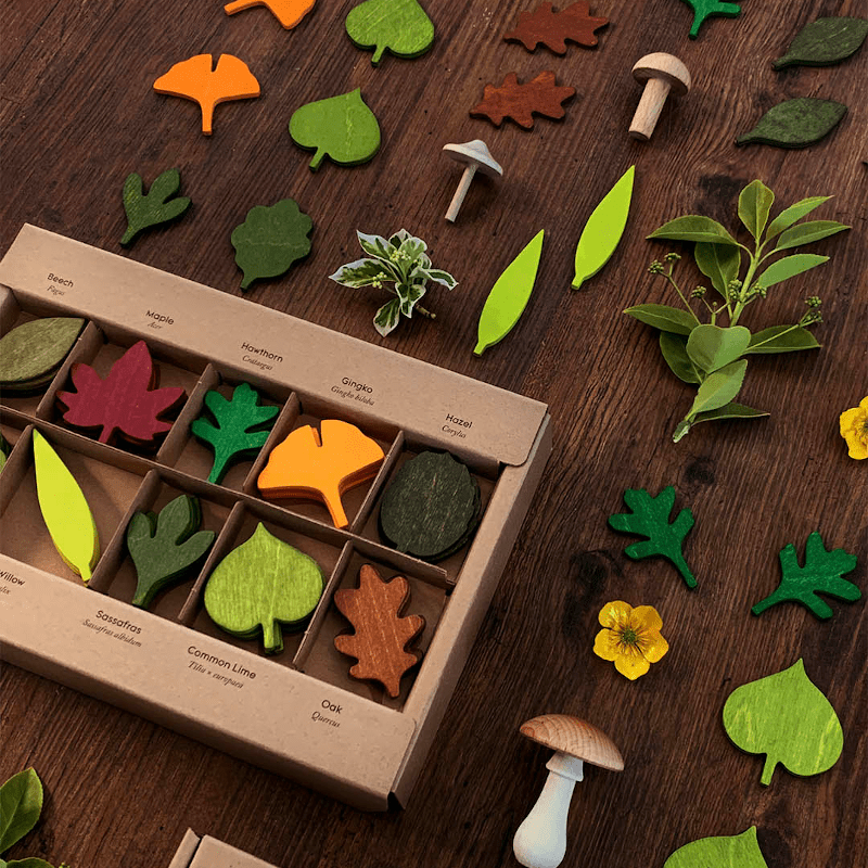Lernspiel - Woodland Leaves von Moon Picnic