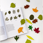 Lernspiel - Woodland Leaves von Moon Picnic